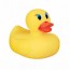 Sicherheits-Badeente